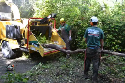 tree services Red Corral